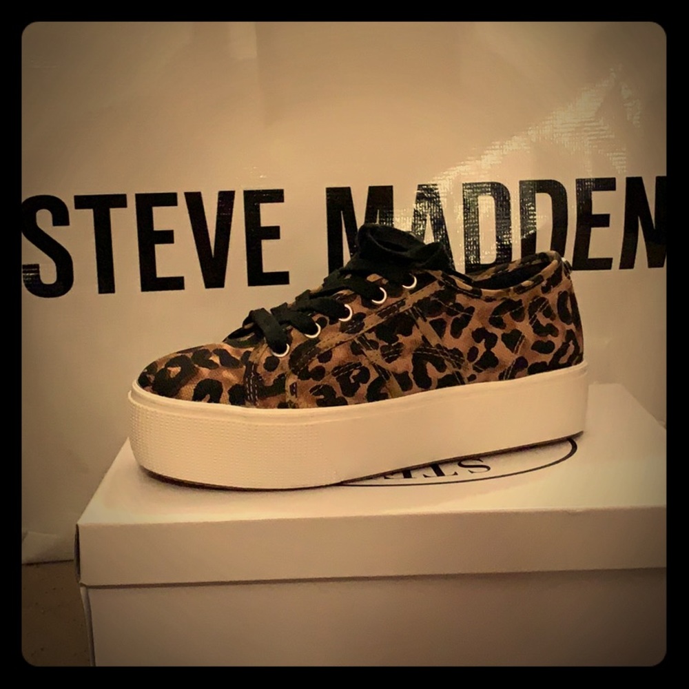 Emmi leopard Steve Madden sneakers